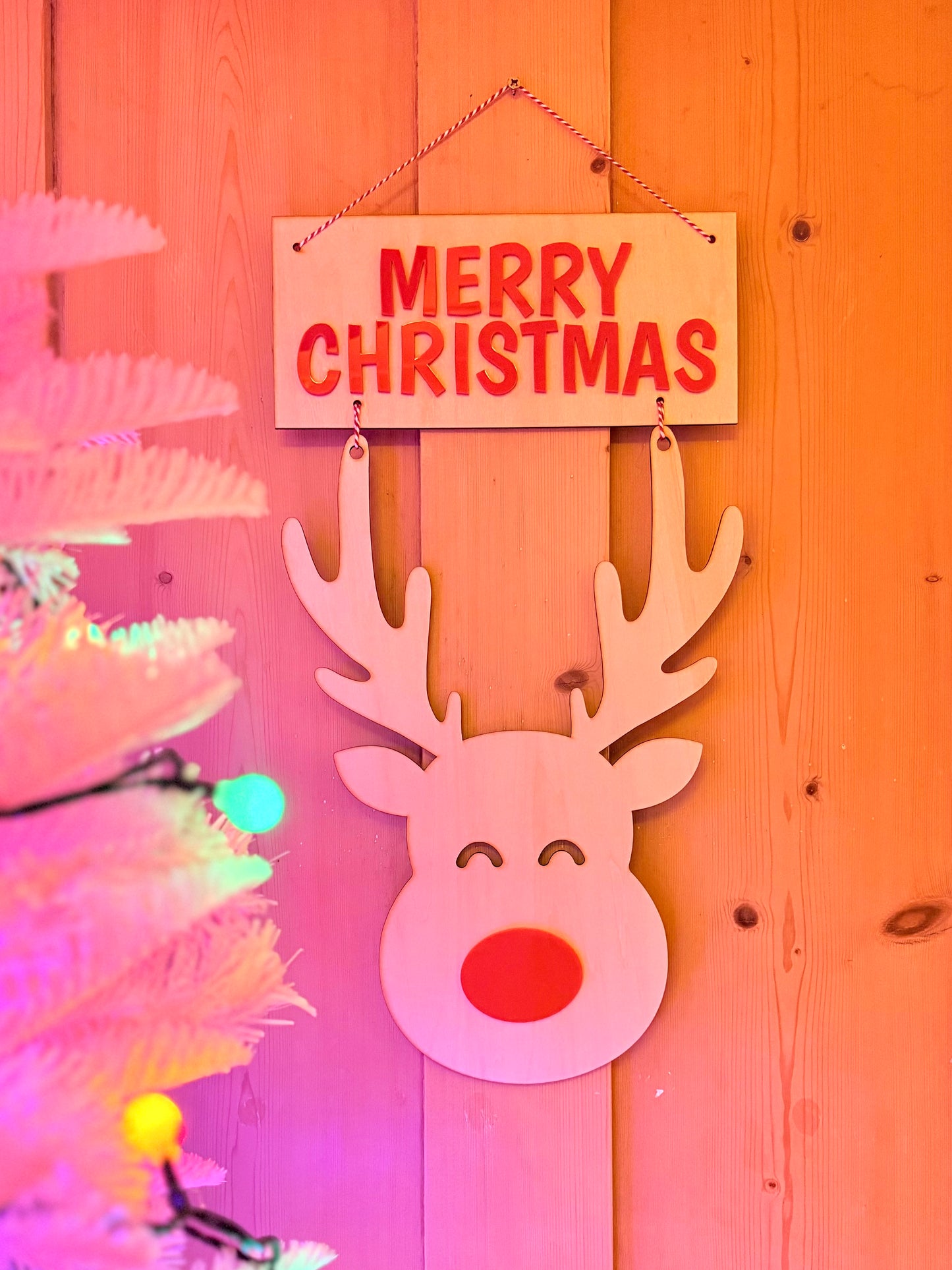 Christmas Reindeer Wall Decoration, Fun Festive Wall Hanging