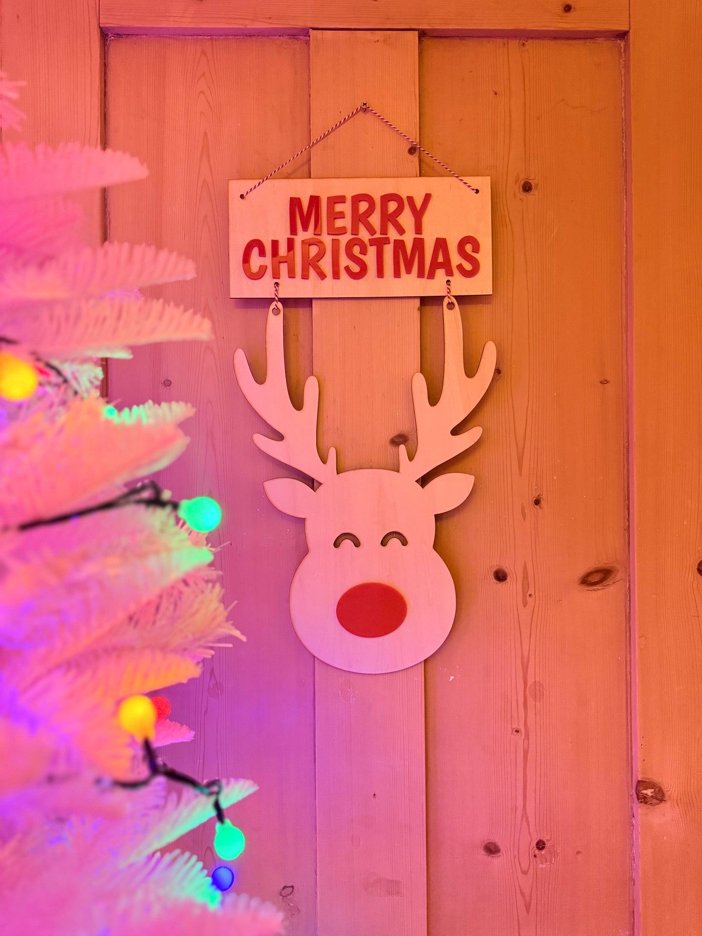 Christmas Reindeer Wall Decoration, Fun Festive Wall Hanging