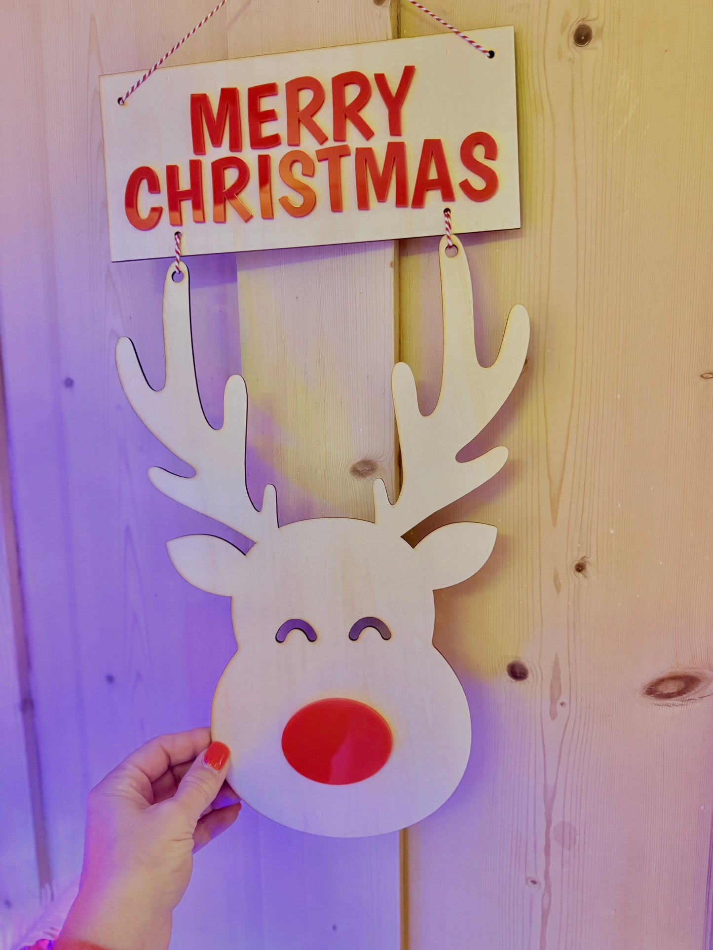 Christmas Reindeer Wall Decoration, Fun Festive Wall Hanging