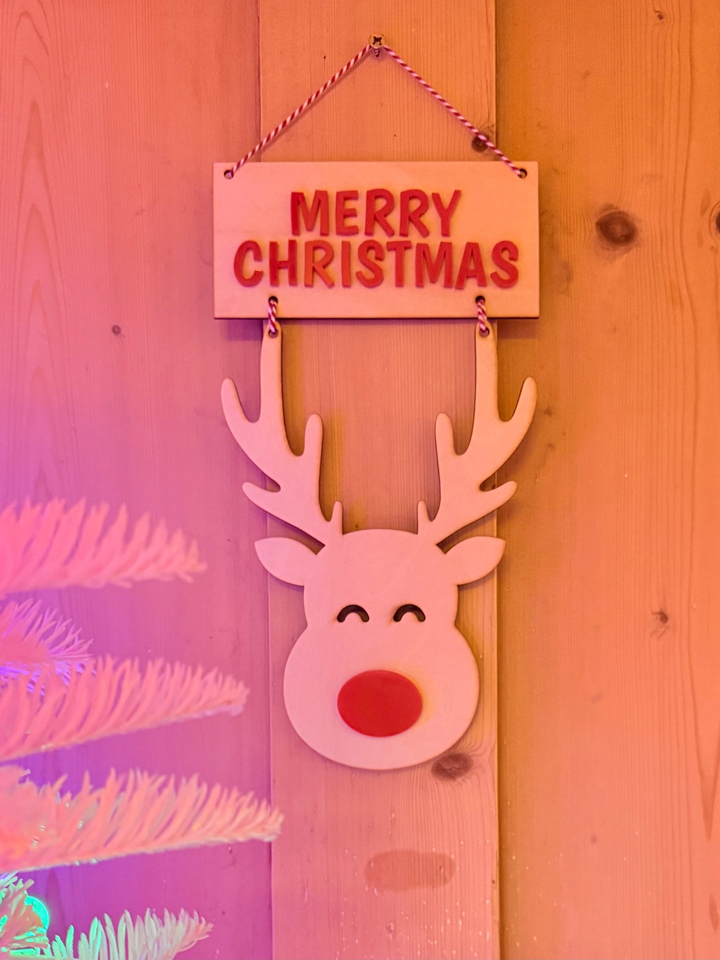 Christmas Reindeer Wall Decoration, Fun Festive Wall Hanging