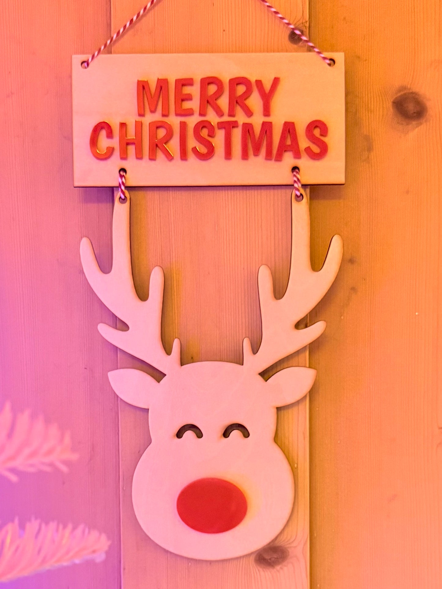 Christmas Reindeer Wall Decoration, Fun Festive Wall Hanging