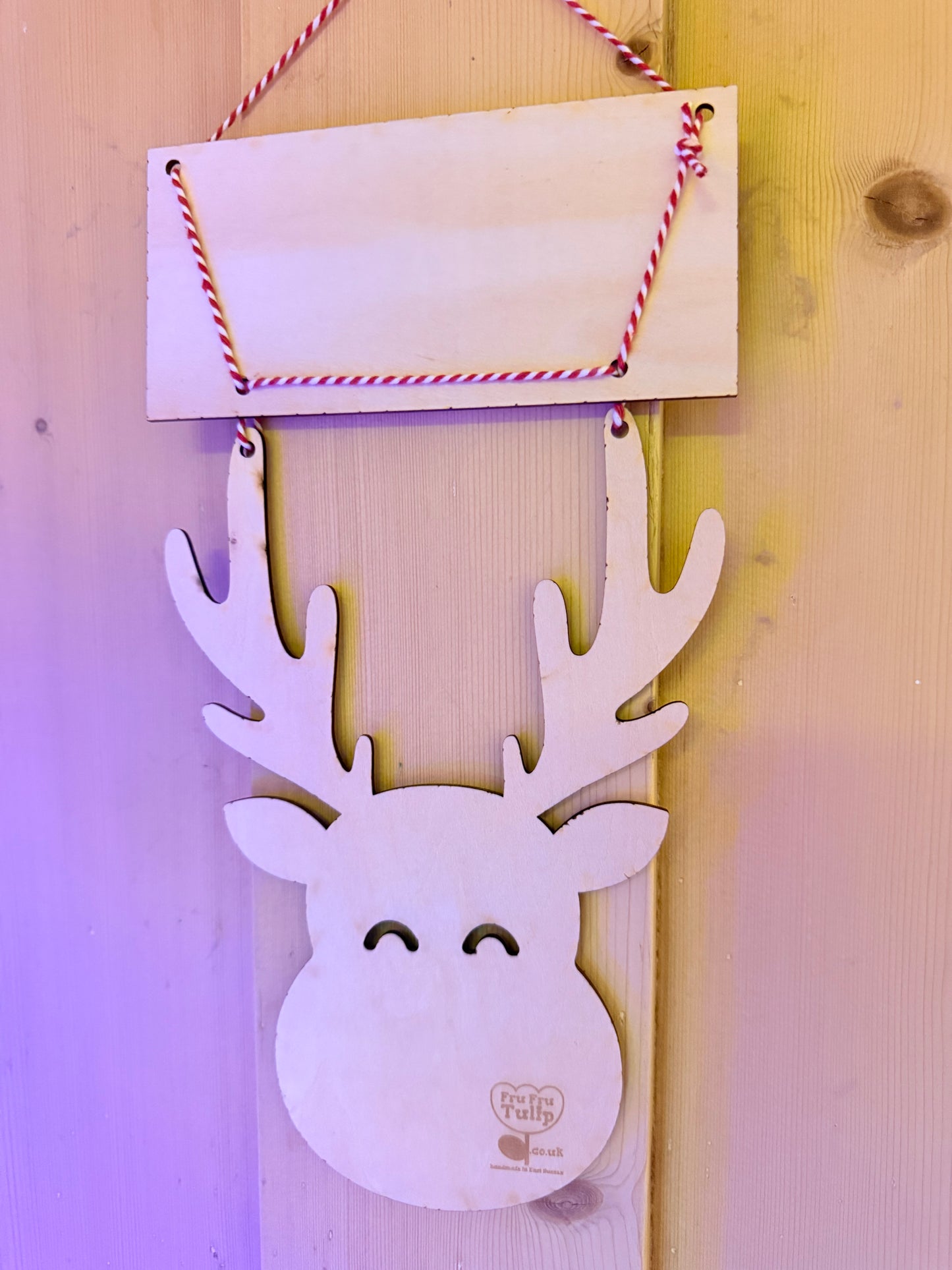 Christmas Reindeer Wall Decoration, Fun Festive Wall Hanging